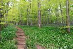 Somerset Wildlife Trust - Exploring Somerset