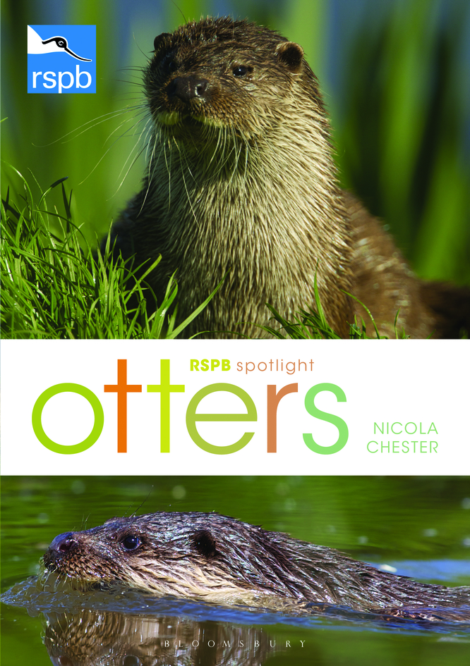 RSPB Spotlight: Otters
