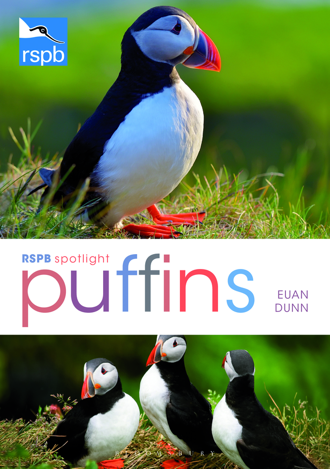 RSPB Spotlight: Puffins