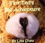 Tiny Ted's Big Adventure - front cover Tiny Ted's Big Adventure - front cover